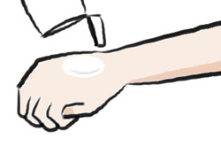 試供品でテストする